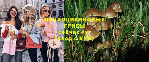 марки lsd Белоозёрский