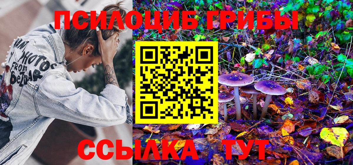 Галлюциногенные грибы Magic Shrooms Буйнакск